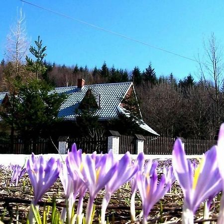 Góralska Czarcia Chata pod Jałowcem Stryszawa Exterior foto